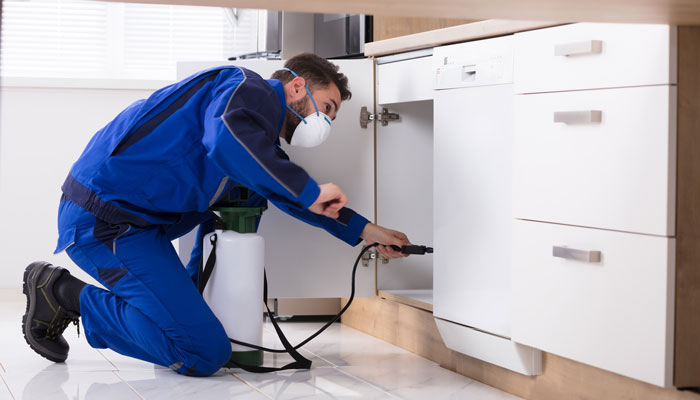 an exterminator treats a kitchen