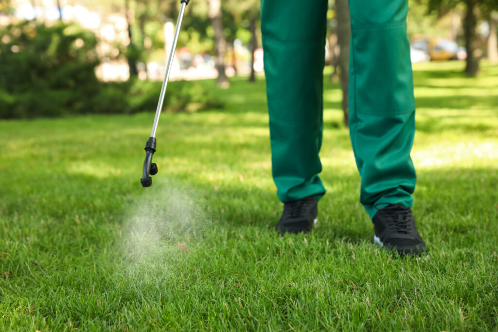 Worker spraying pesticide onto green lawn outdoors, closeup. Pes