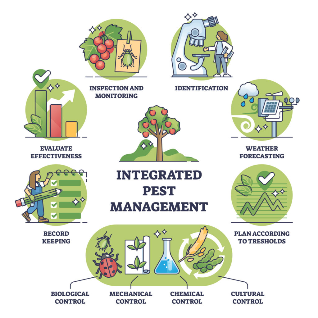 Integrated pest management as sustainable crop protection outline diagram. Labeled scheme with nature friendly mechanical, biological, chemical or cultural plant control approach vector illustration.